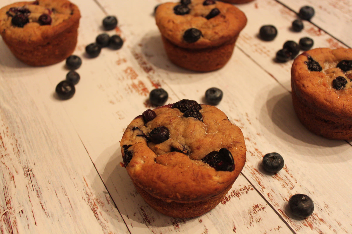 LOYAL BLUEBERRY MUFFINS – Loyal