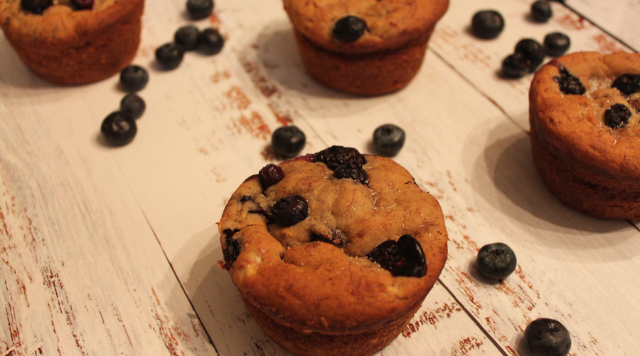 LOYAL BLUEBERRY MUFFINS